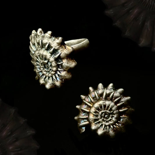 Big spiral ring