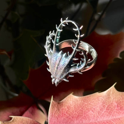 Larval ring