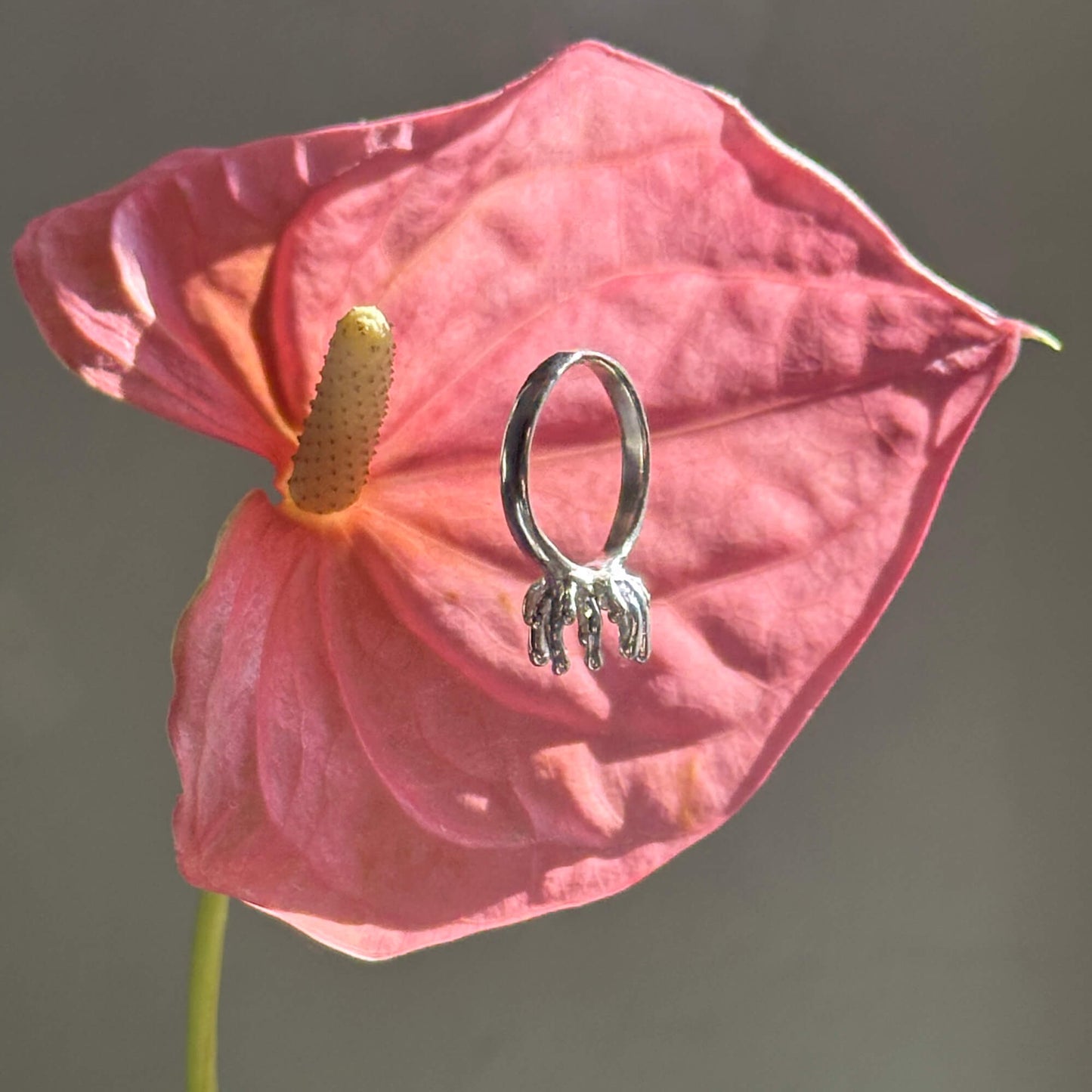 Сordyceps ring