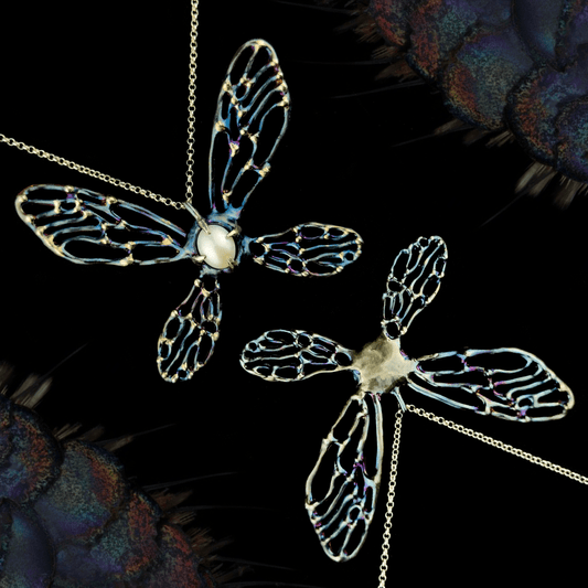 Metamorphosis