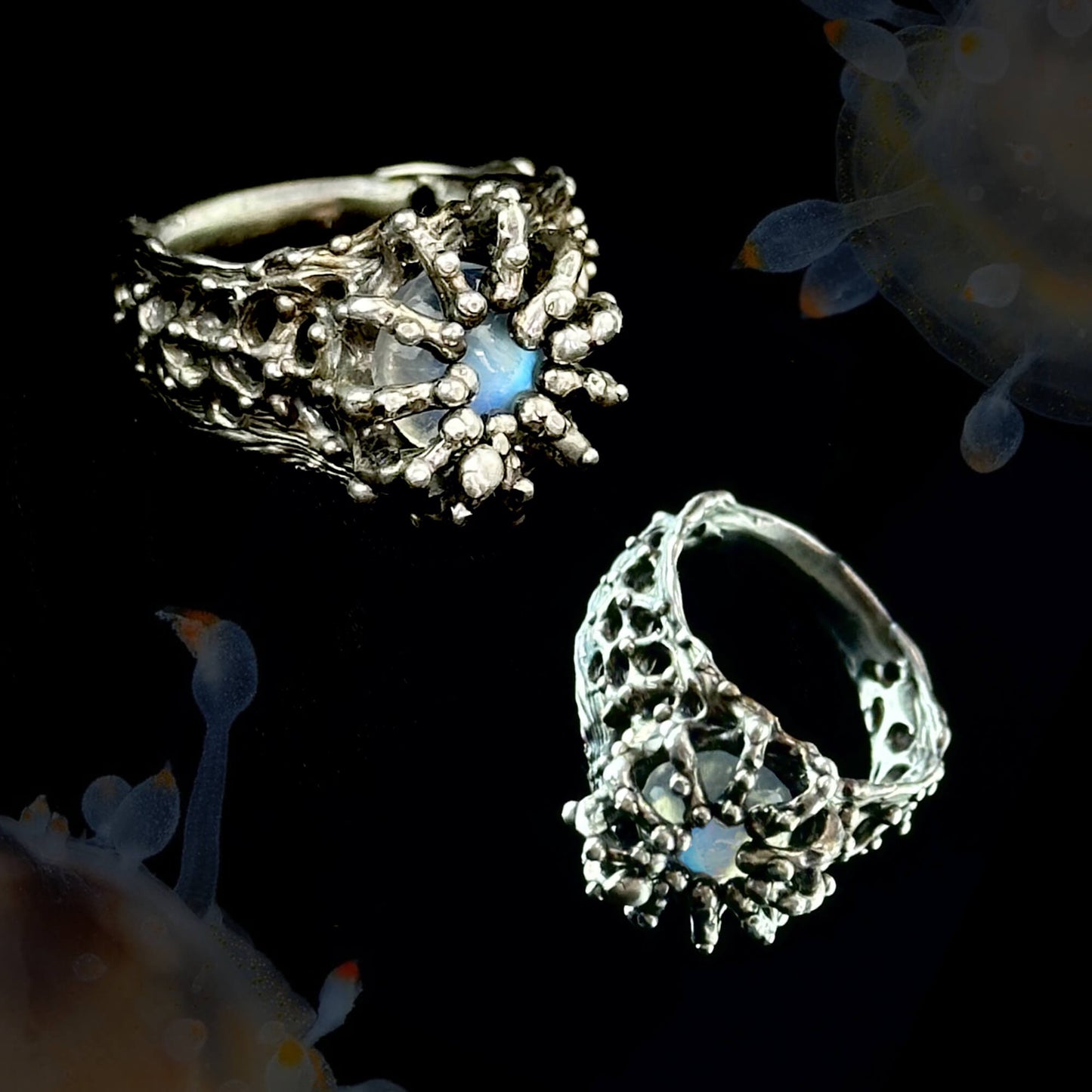 Pollination ring