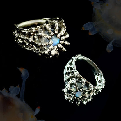 Pollination ring