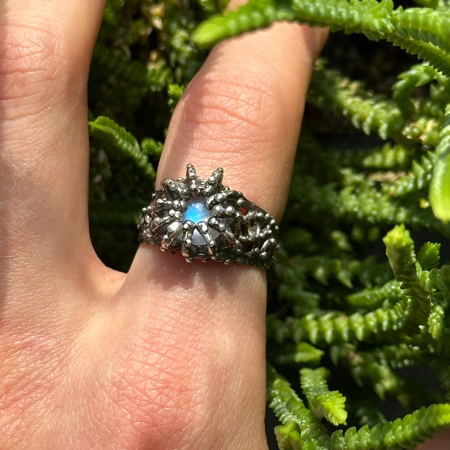 Pollination ring
