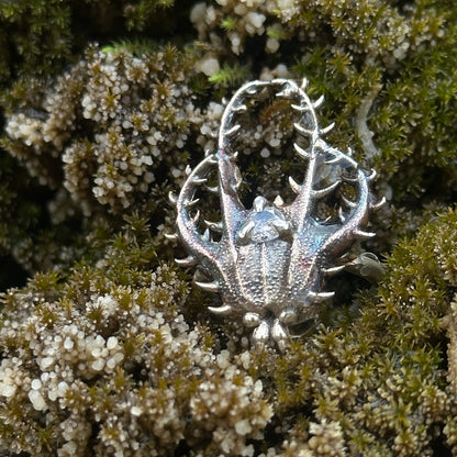 Larval ring