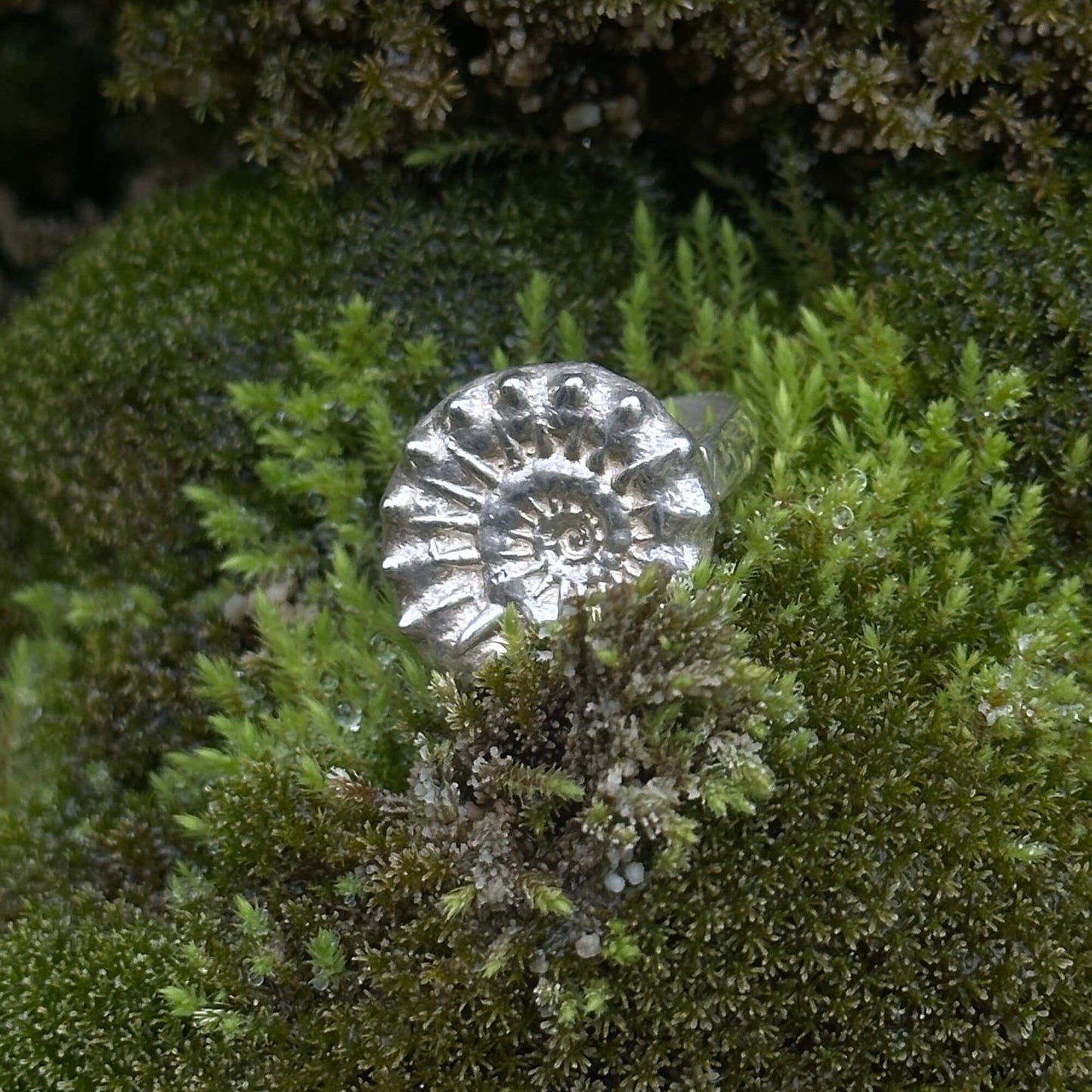 Spiral ring