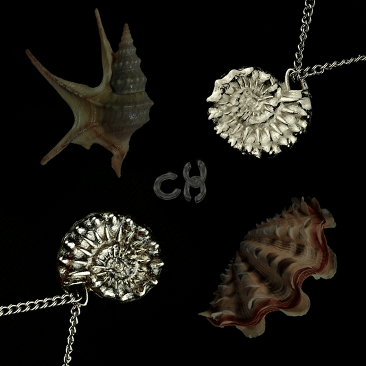 Composition of ammonite pendants alongside real fossil shells, showing the detailed spiral pattern and textured design of the jewelry in silver and brass. The items are displayed on a black background with the brand logo Chainsself subtly visible.