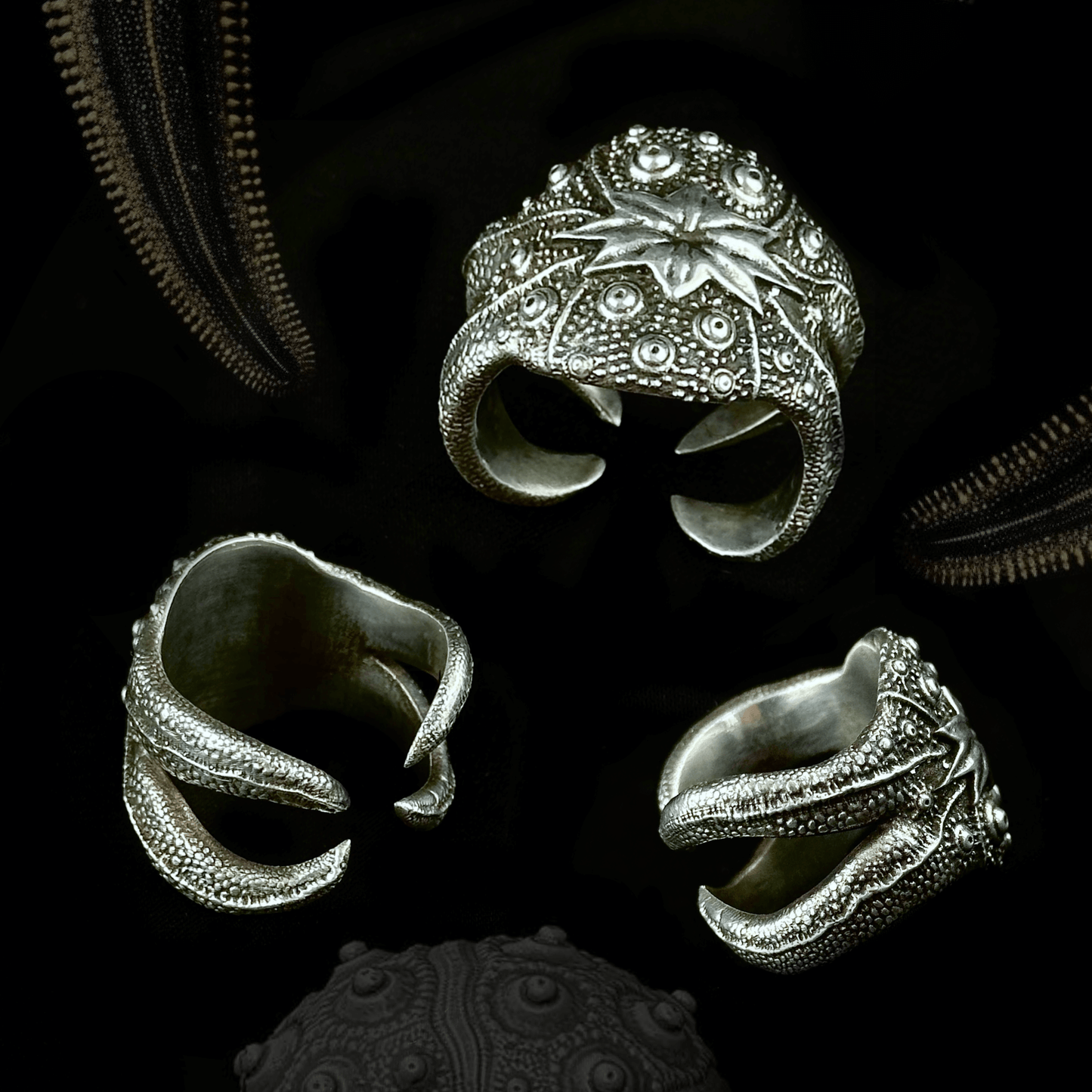 A collection of Beast rings displayed against a dark background, showcasing intricate silver designs inspired by sea urchins and starfish. The rings feature detailed textures and claw-like structures, embodying an organic, marine-inspired aesthetic.