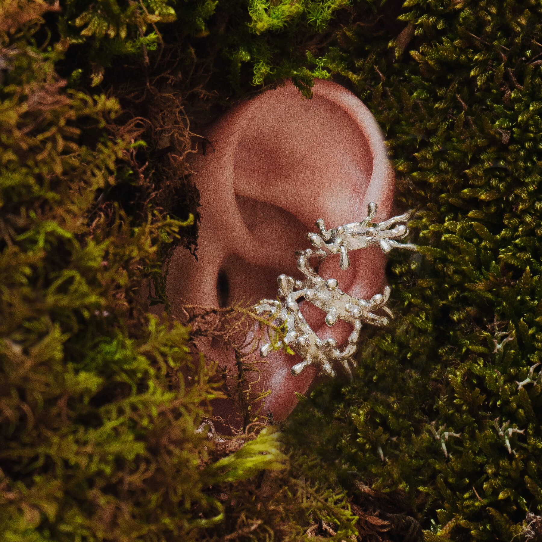 A surreal composition featuring an ear wearing multiple Hydra earcuffs, emerging from a bed of lush moss. The nature-inspired jewelry appears as if it’s growing from the environment.