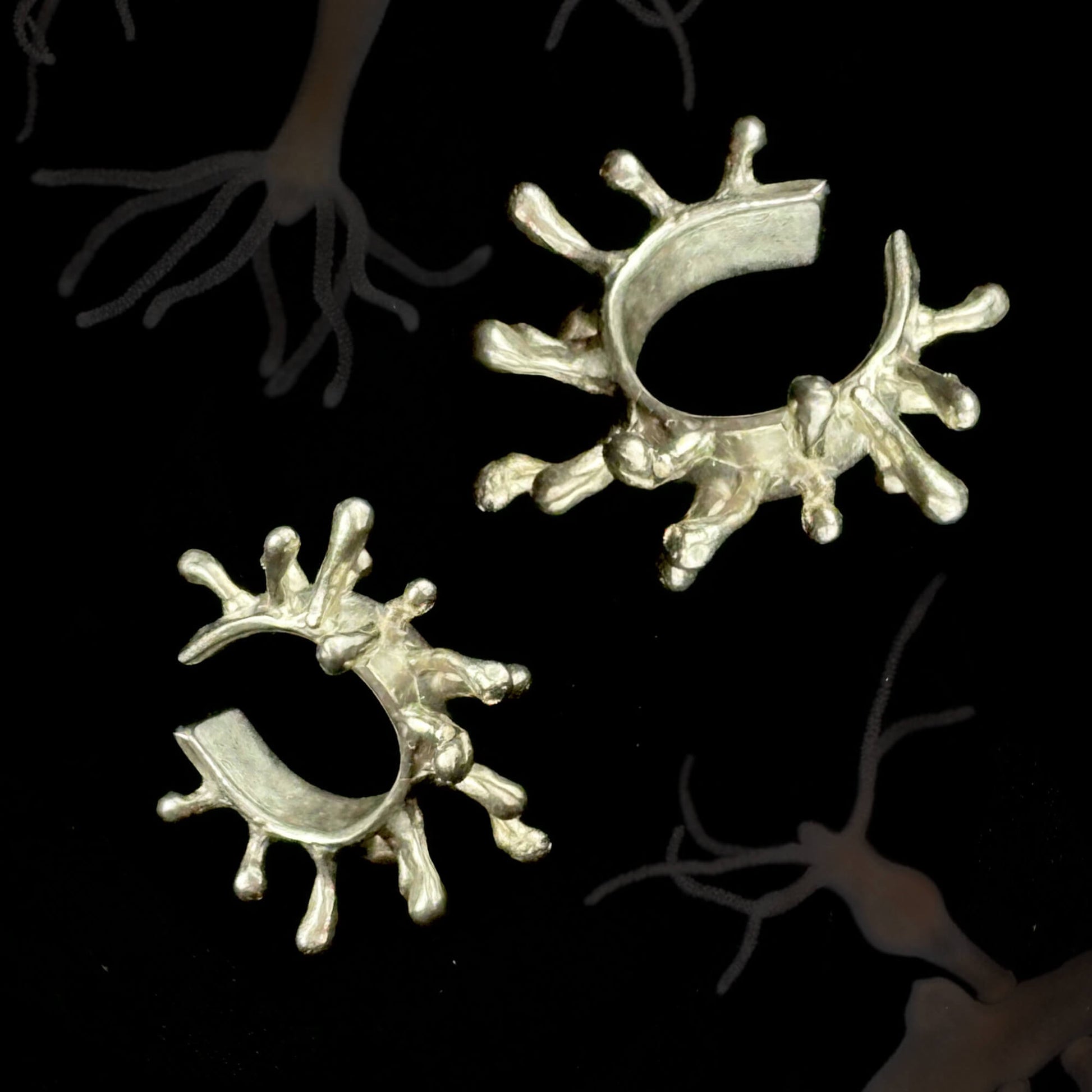 A pair of silver Hydra earcuffs displayed against a black background, featuring organic, branch-like extensions inspired by the marine creature. The irregular, sculptural design mimics natural growth patterns.