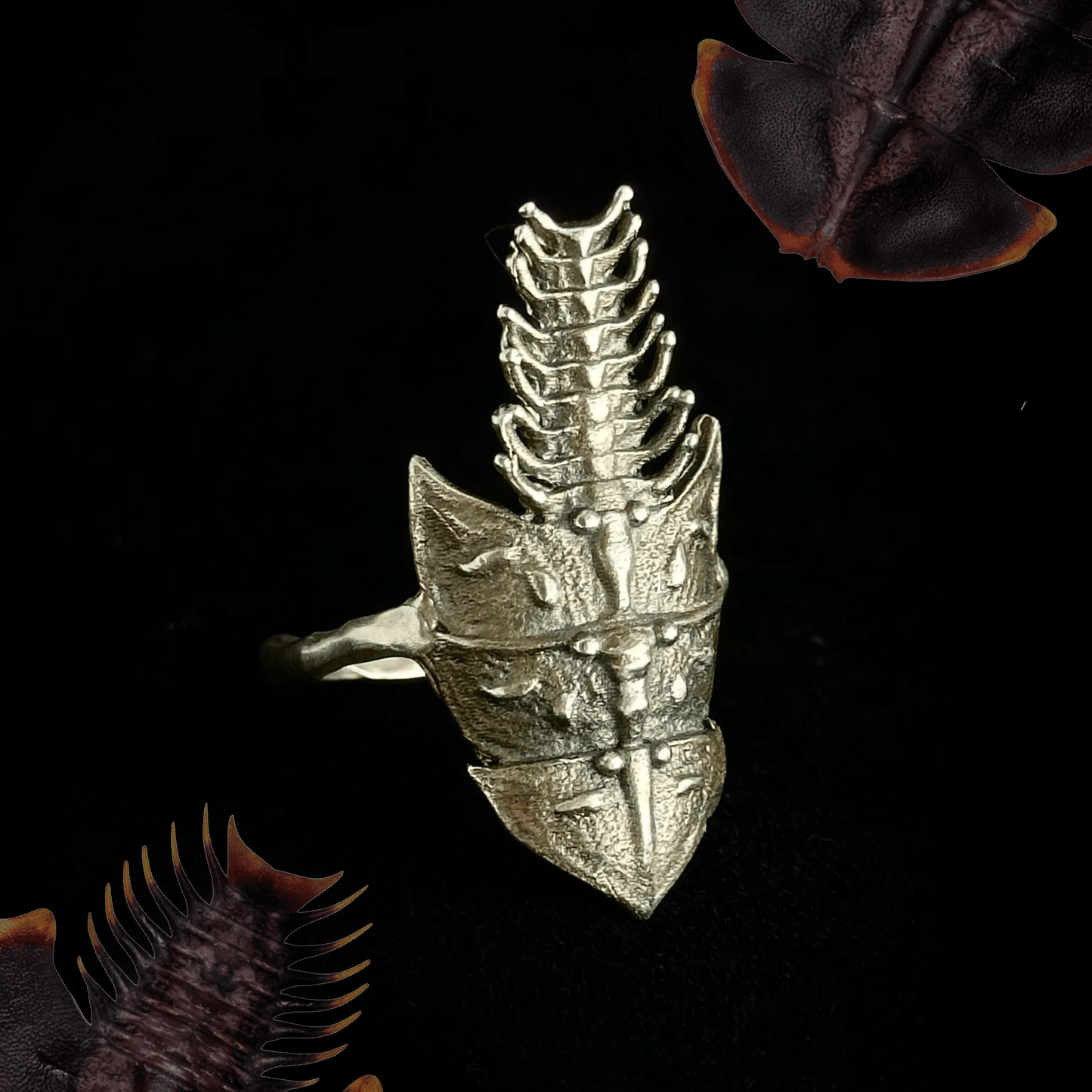 A close-up of the silver Trilobite ring displayed against a dark background. The intricate design mimics the armored plates of a trilobite beetle, featuring segmented details and a spiny, elongated shape.