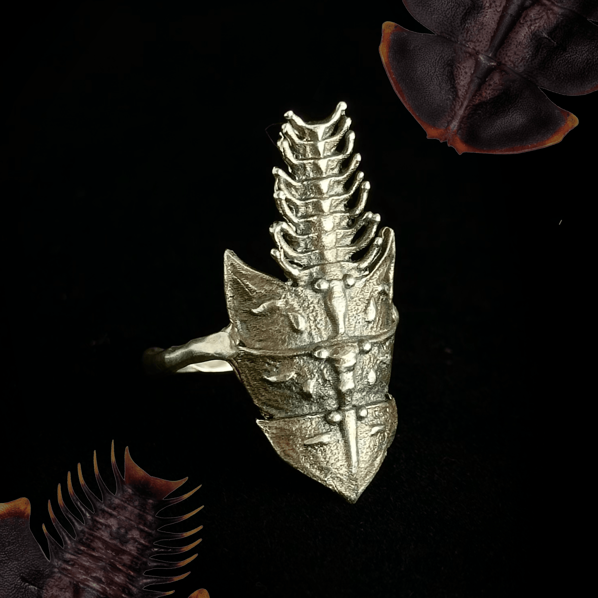 A close-up of the silver Trilobite ring displayed against a dark background. The intricate design mimics the armored plates of a trilobite beetle, featuring segmented details and a spiny, elongated shape.